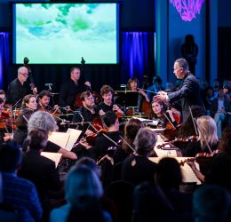 Orchestra Experience