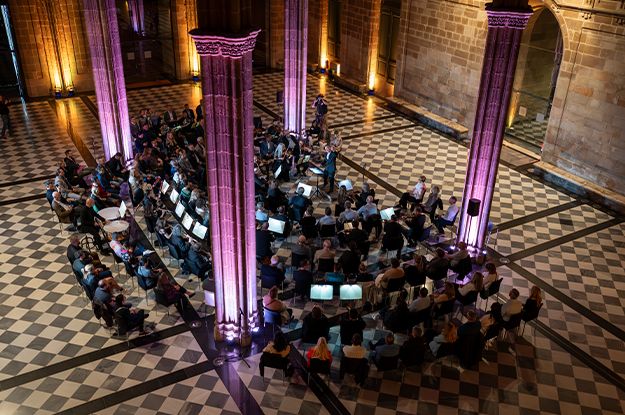 Hollister Orchestra Experience