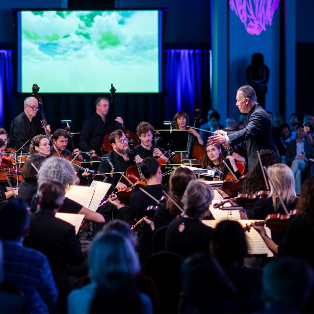 Orchestra Experience