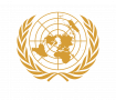 UN logo